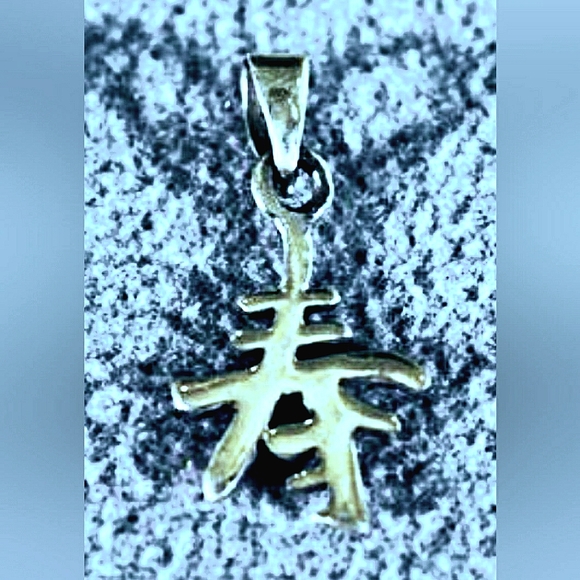 NEW .925 Sterling Silver Chinese Character Pendant Charm! Approx. 1/2" (.50) - Picture 2 of 6